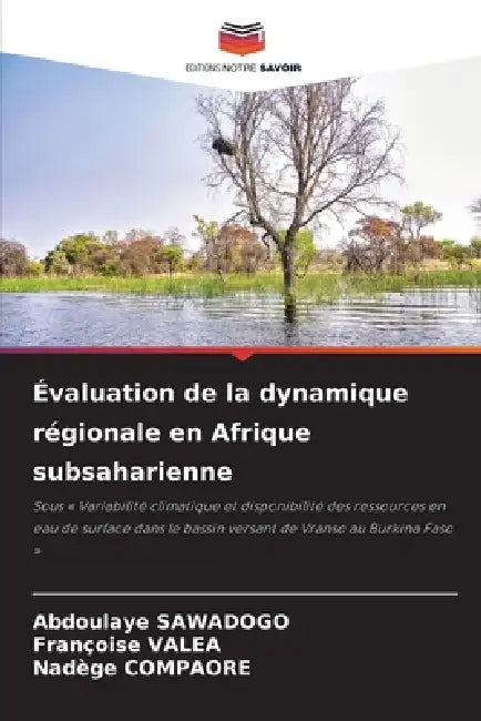 Évaluation de la dynamique régionale en Afrique subsaharienne by Abdoulaye Sawadogo, Françoise Valea, Nadège Compaore