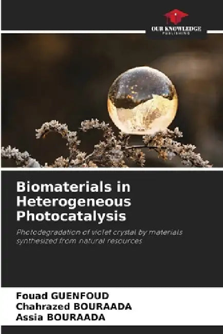 Biomaterials in Heterogeneous Photocatalysis by Fouad Guenfoud, Chahrazed Bouraada, Assia Bouraada