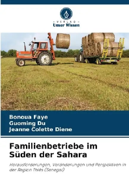 Familienbetriebe im Süden der Sahara by Bonoua Faye, Guoming Du, Jeanne Colette Diene