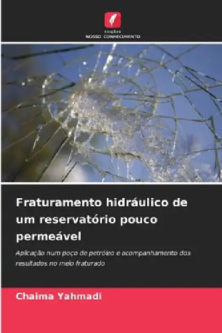 Fraturamento hidráulico de um reservatório pouco permeável by Chaima Yahmadi