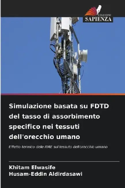 Simulazione basata su FDTD del tasso di assorbimento specifico nei tessuti dell'orecchio umano by Khitam Elwasife, Husam-Eddin Aldirdasawi