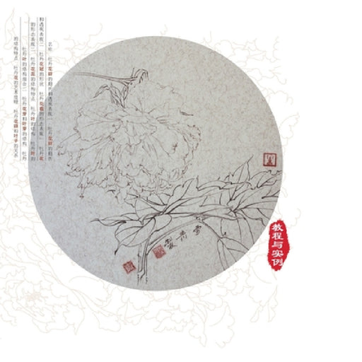 Course and Examples of Painting Techniques for Peony with Gongbi/工笔牡丹写生技法教程Ç by 龚雪青编著