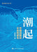The Rise: The Birth of China's Innovative Enterprises/潮起：中国创新型企业的诞 by 封凯栋