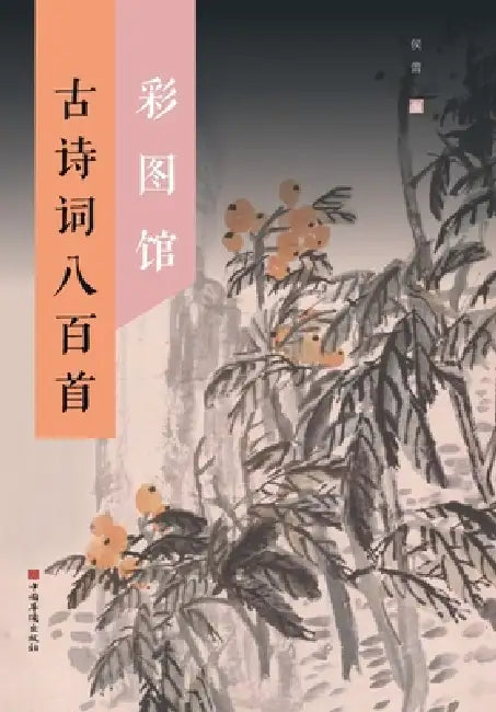 The Illustrated Library of 800 Classical Chinese Poems/古诗词八百首彩图馆 by 侯蕾