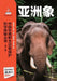 Chinese Rare Wildlife Conservation Science Exploration Series: Asian Elephant/中国珍稀野生动物保 by 潘文ऊ 张立
