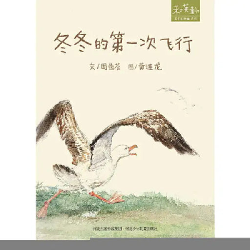 Dong Dong's First Flight by Yi Fen Zhou