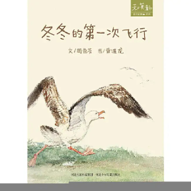 Dong Dong's First Flight by Yi Fen Zhou