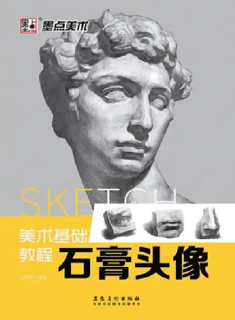 Fine Art Basic Tutorial: Plaster Cast Head/美术基础教程-石膏头像 by 阮辛阅