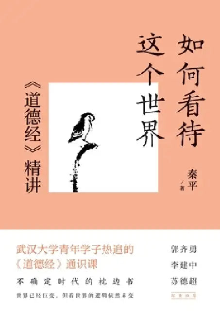 How to Perceive the World: An In-Depth Guide to the Tao Te Ching/如何看待这个世界：《ű by 秦平
