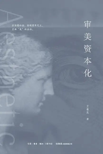 Aesthetic Capitalization/审美资本化 by 王敬民