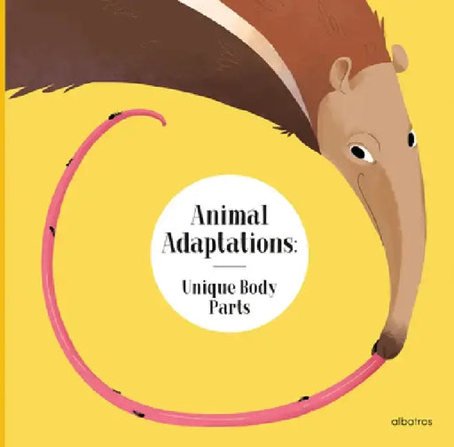 Why Anteater's Tongue Is So Long: And Other Ways Animals Are Equipped for Life