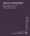 Armenophobia: Art, Scholarship, and Russian Colonial Policy at the Turn of the Twentieth Century by Ivan Foletti, Margarita Khakhanova