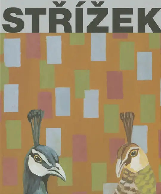Antonín Strízek: Paintings by Antonín Strízek, Martin Dostál, Marek Pokorny
