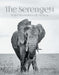 The Serengeti by Rajan Kapoor