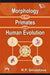 Morphology of the Primates and Human Evolution by Srivastava R. P.