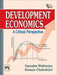 Development Economics: A Critical Perspective by Mukherjee Aparajita, Chakrabarti Saumya
