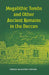 Megalithic Tombs and Other Ancient Remains In The Deccan by Meadows Taylor