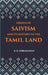 The Origin of Saivism and Its History In The Tamil Land by K. R. Subramanian