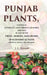 Punjab Plants Comprising Botanical and Vernacular Names, and Uses of Most of The Trees, Shrubs, and Herbs of Economical Value, Growing Within The Province by J. L. Stewart