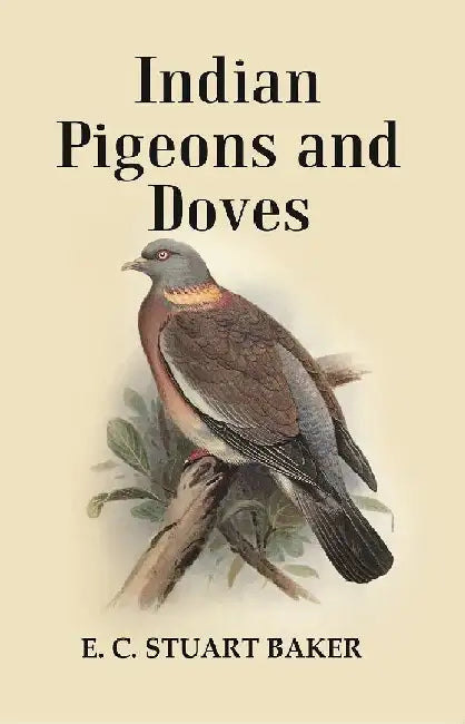 Indian Pigeons and Doves  by E. C. Stuart Baker