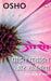 Pandit Purohit Aur Rajneta by Osho