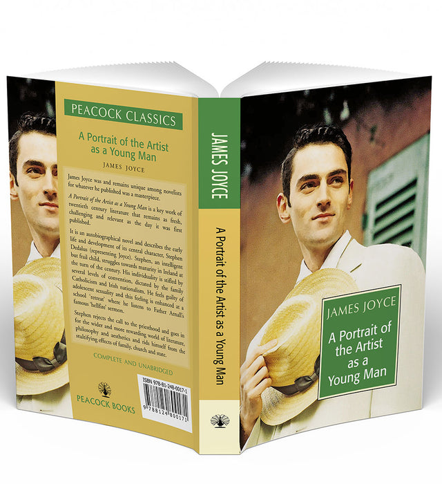 A Portrait Of The Artist As A Young Man