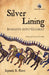 Silver Lining: Insights into Gujarat by Jayanti S. Ravi