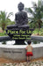 A Place for Utopia: Urban Designs from South Asia by Smriti Srinivas