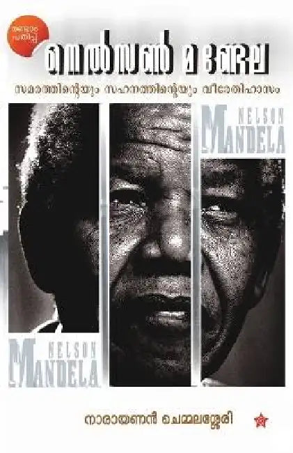 Nelson Mandela by Narayanan Chemmalassery
