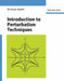 Introduction to Perturbation Techniques by Nayfeh