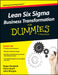 Lean Six Sigma Business Transformation for Dummies by Roger Burghall, Vince Grant, John Morgan