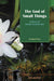 The God of Small Things: a Novels of Social Commitment by Amitabh Roy