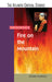 Anita Desai'S Fire On The Mountain by Rama Kundu