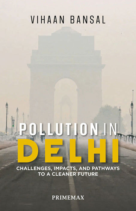 Pollution in Delhi: Challenges, Impacts, and Pathways to a Cleaner Future by Jean-Baptiste Tavernier