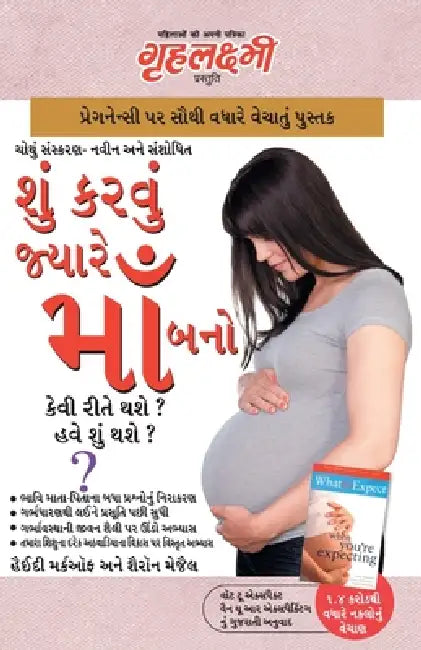 Kya Kare Jab Maa Bane by Heidi Murkoff, Sharon Mazel