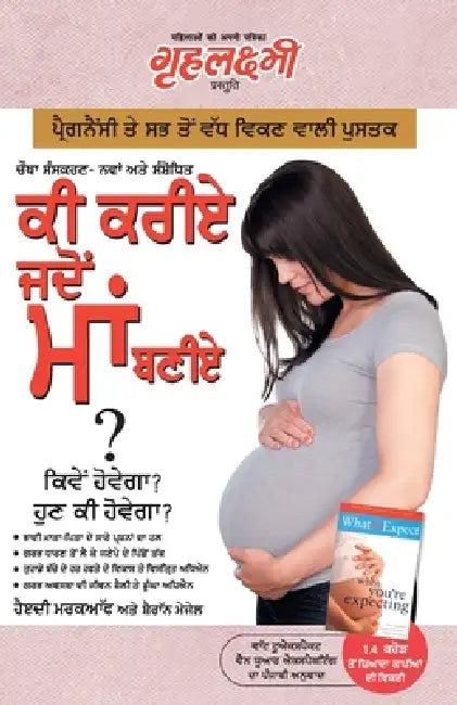 Kya Kare Jab Maa Bane by Heidi Murkoff, Sharon Mazel