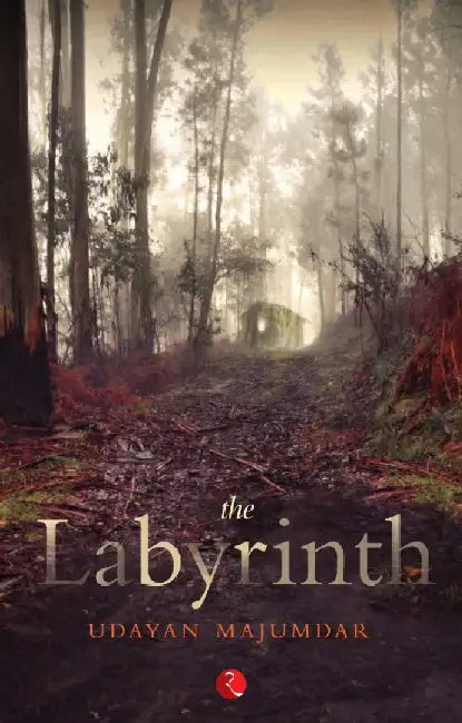 Labyrinth by Udayan Majumdar