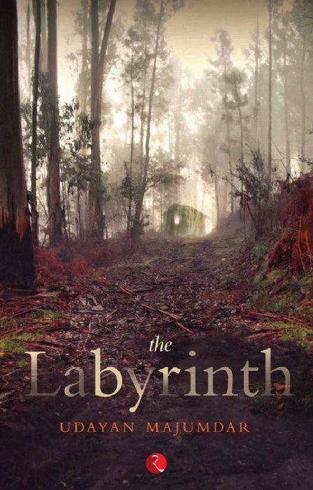 Labyrinth by Udayan Majumdar