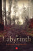 Labyrinth by Udayan Majumdar