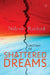 Destiny Of Shattered Dreams by Nilesh Rathod