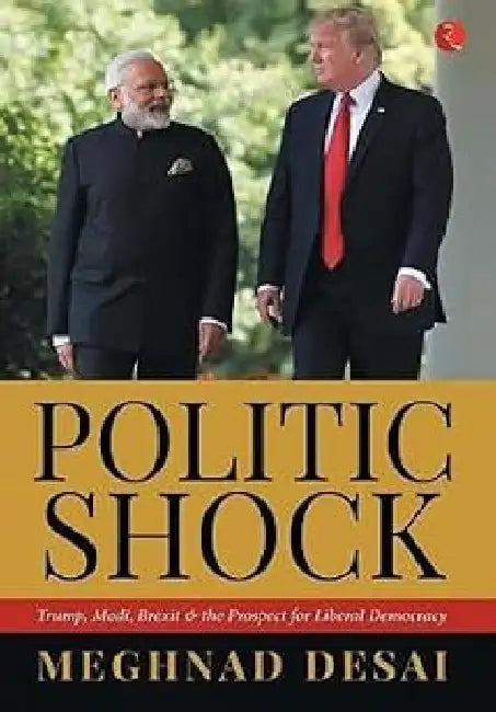 Politic Shock by Meghnad Desai