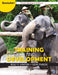Training for Development  by Rolf P. Lynton