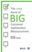 The Little Book of Big Customer Satisfaction Measurement by Subhash Chandra, Ajit Rao