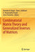 Combinatorial Matrix Theory and Generalized Inverses of Matrices by Ravindra B. Bapat