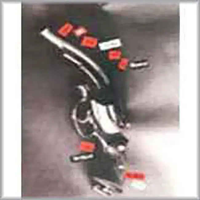 Tell Me The Name Of A Flower And The Terrace by Madhu Rye