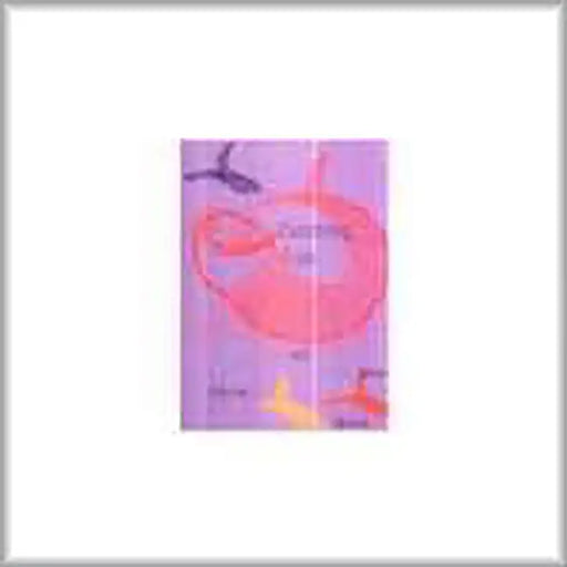 Catching Fish And Other Stories by Meera Mukherjee