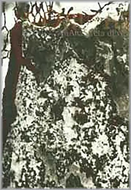 Romtha by Mahasweta Devi