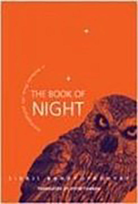 The Book Of Night: A Moment From the Mahabharata