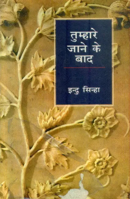 Tumhare Jane Ke Baad by Indu Sinha