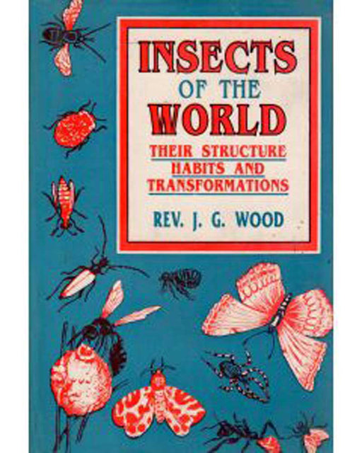 Insects Of The World: Their Sturcture Habits and Transformations by Rev. J. G. Wood